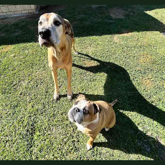 Photo of Humphrey And Louie