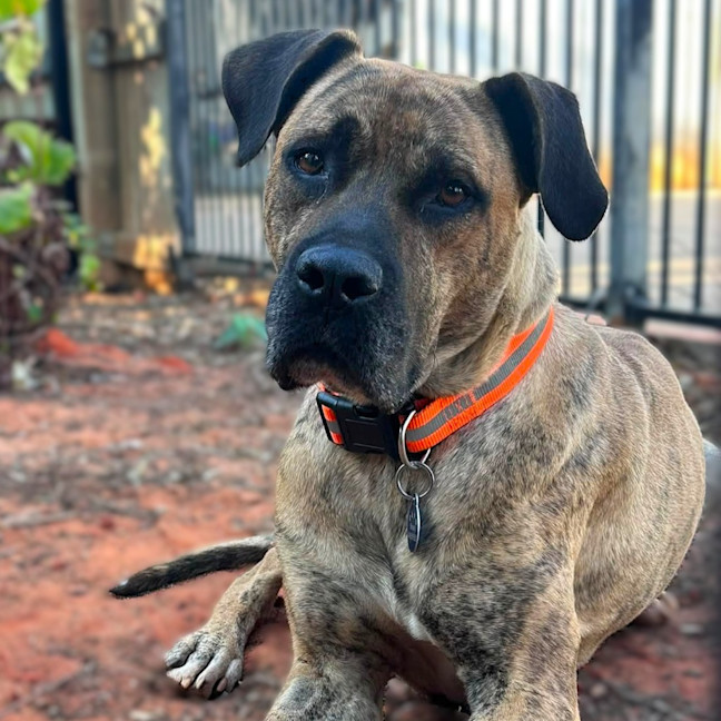 Photo of Monty