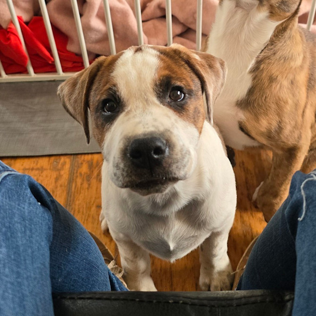 Photo of Beanie Baby