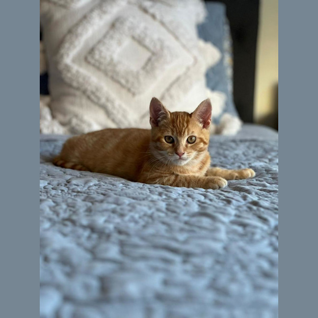 Photo of Zeus