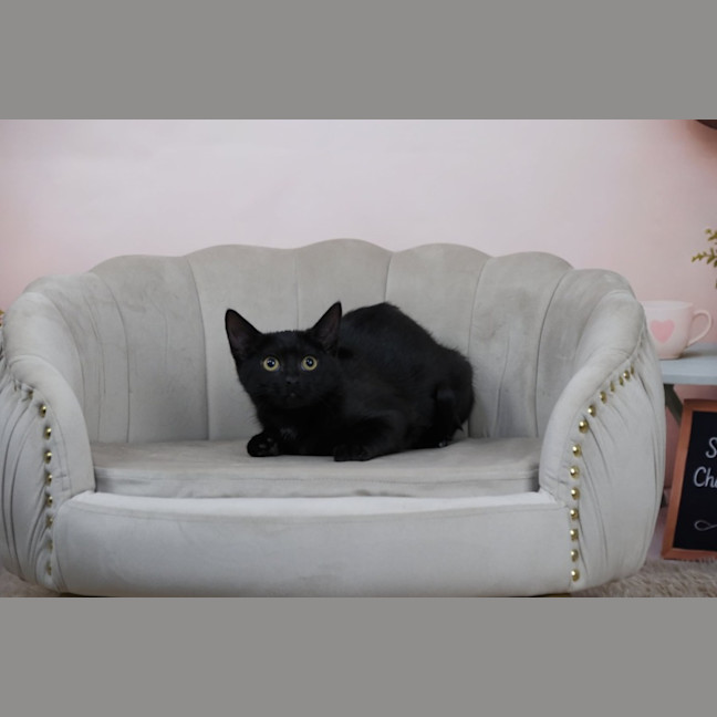 Photo of Wilma