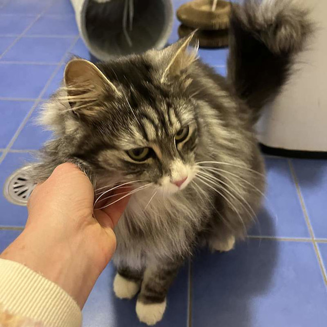 Photo of Hamish
