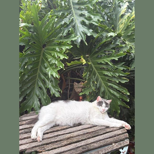 Photo of Kiki