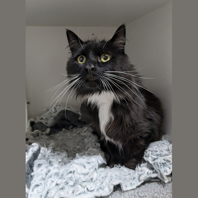 Photo of 🥞 Crepes 5730 🥞