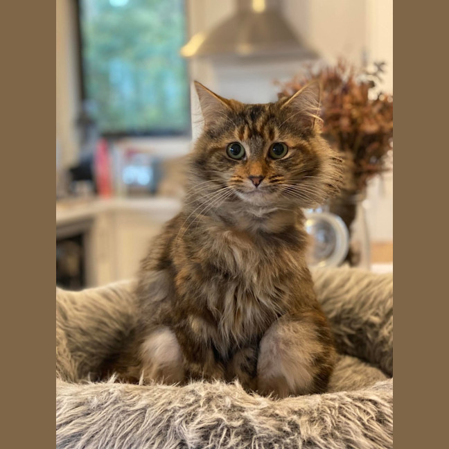 Photo of Astra 