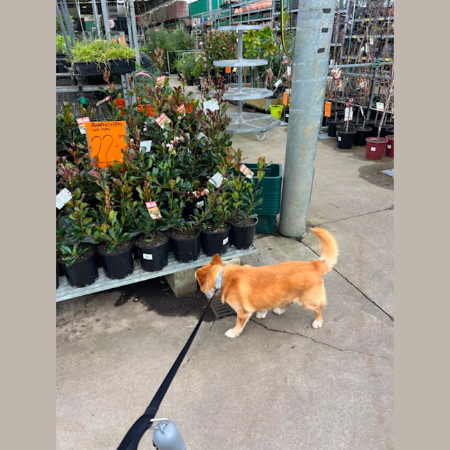 Photo of Max