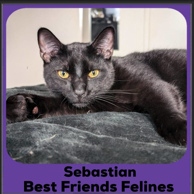 Photo of Sebastian