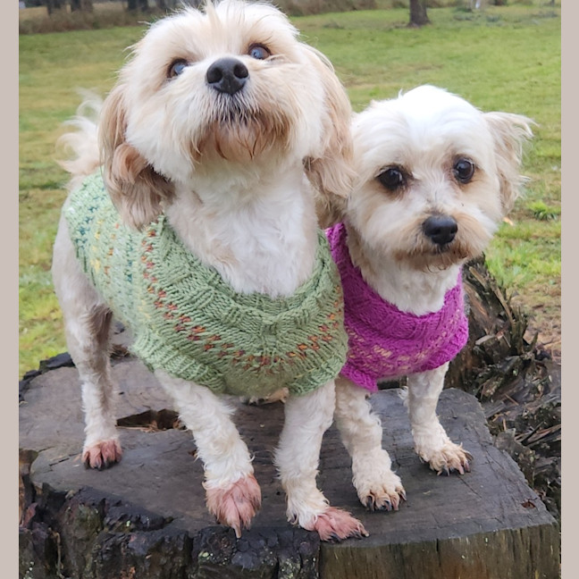 Photo of Jessie And Cooper