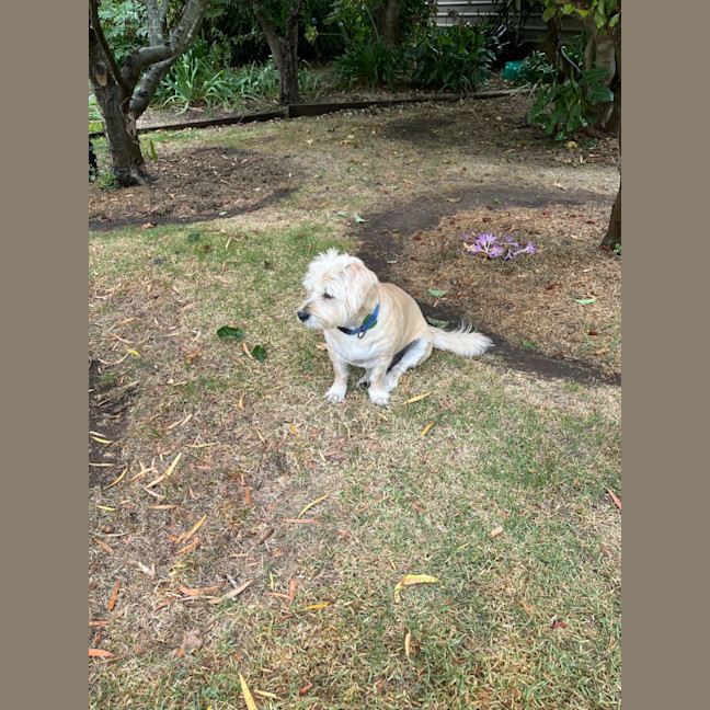 Photo of Katie And Zuri