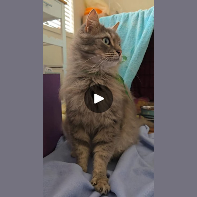 Photo of Samuel Whiskers