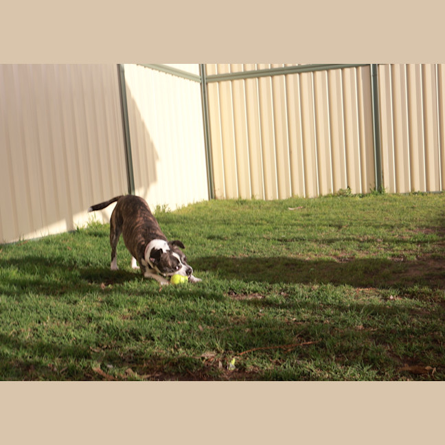 Photo of Bug