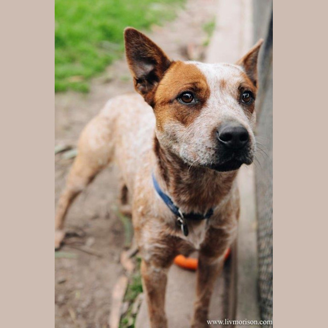 Photo of Nala Jablonksi