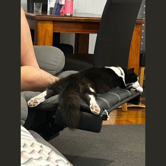 Photo of Papatuanoku