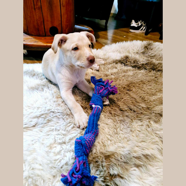 Photo of Bubble