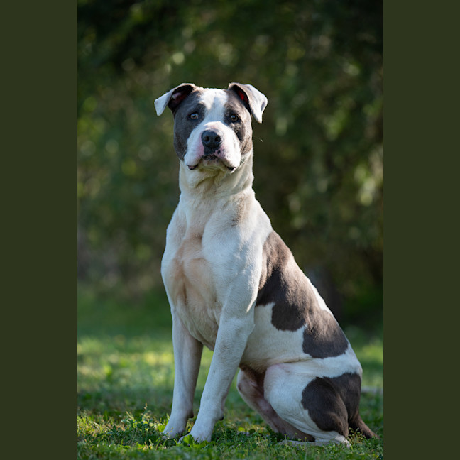 Photo of Zeus