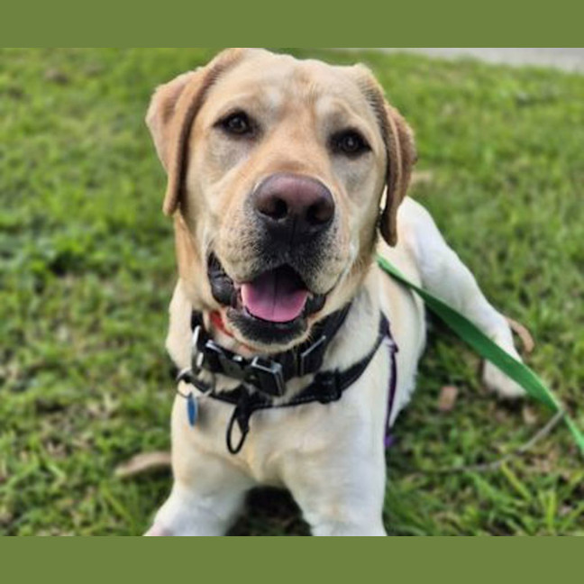 Photo of Casper
