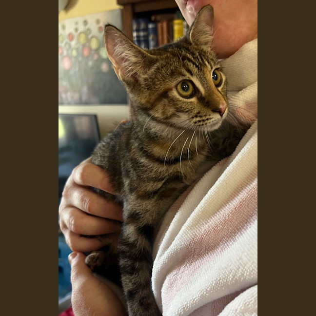 Photo of Frankin
