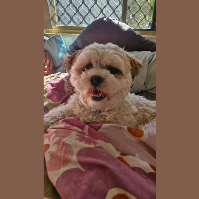 Photo of Peaches
