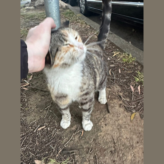 Photo of Tiny