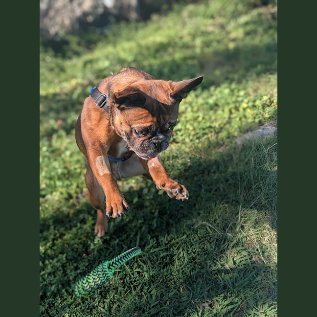 Photo of Axle
