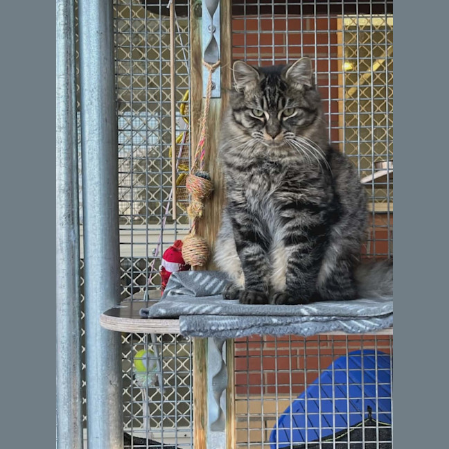 Photo of Romeo! 🧡