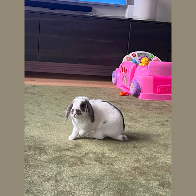 Photo of Asher