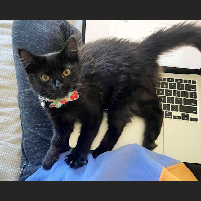 Photo of 💨Alcatraz💨