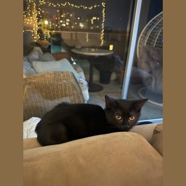 Photo of Etch A Sketch