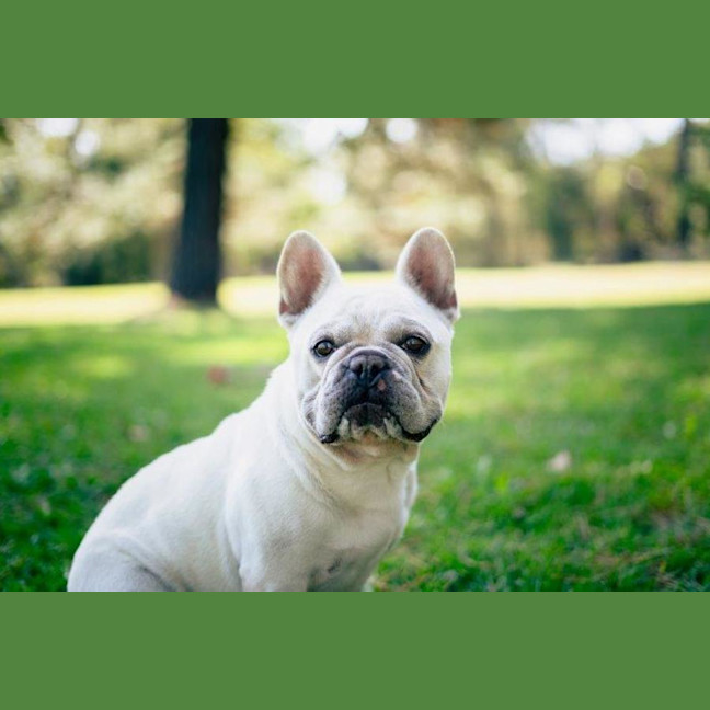 Photo of Bee O’cleary