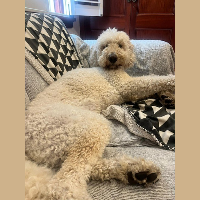 Photo of George And Bobby