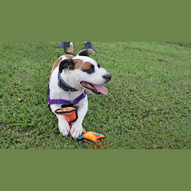 Photo of Maxie