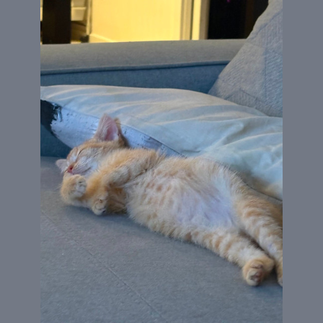 Photo of Esmerelda