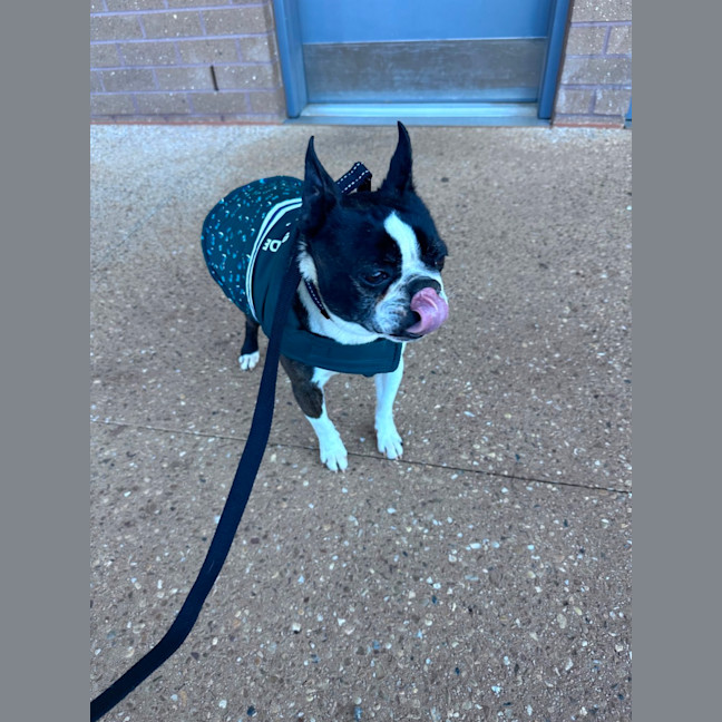 Photo of Timmy