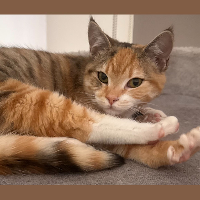 Photo of Frannie