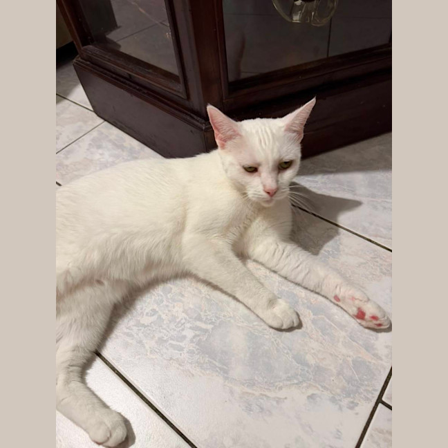Photo of Angel