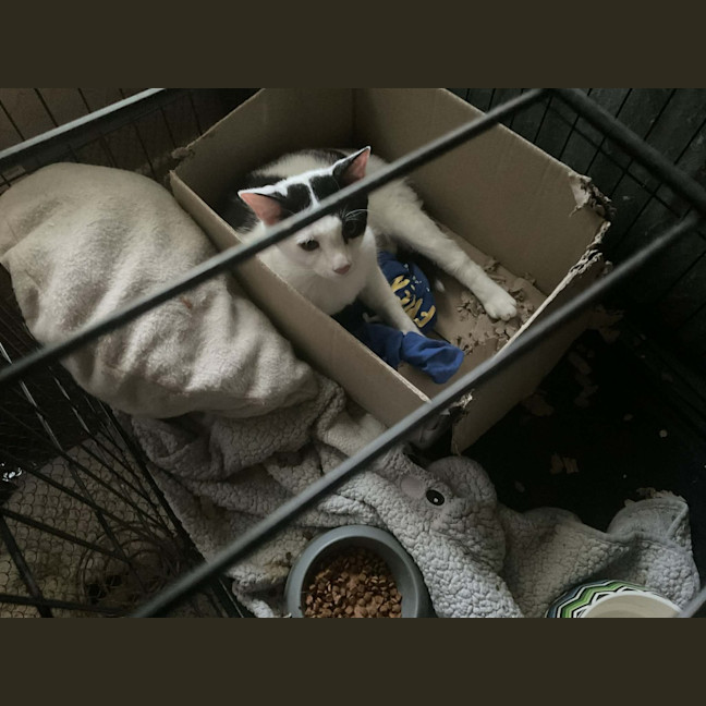 Photo of Matilda