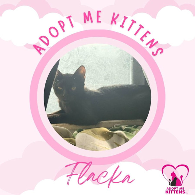 Photo of Flacka