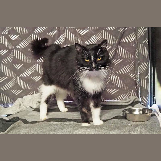 Photo of Coco