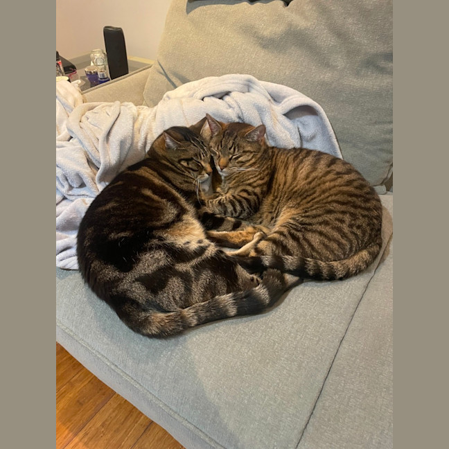 Photo of Alexander & Campbell