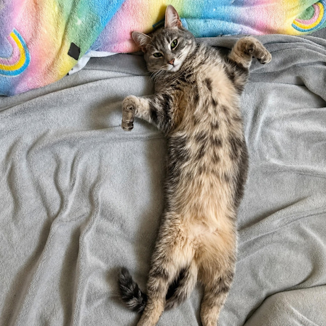 Photo of Chelsea