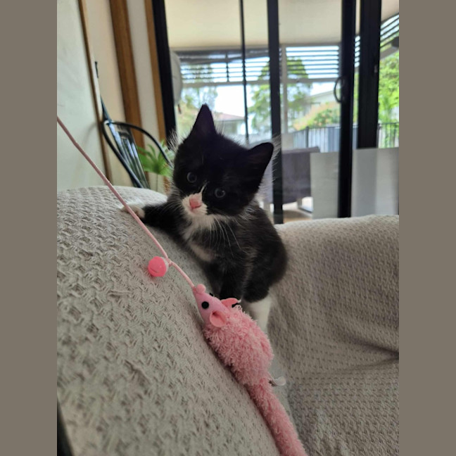 Photo of Mabel