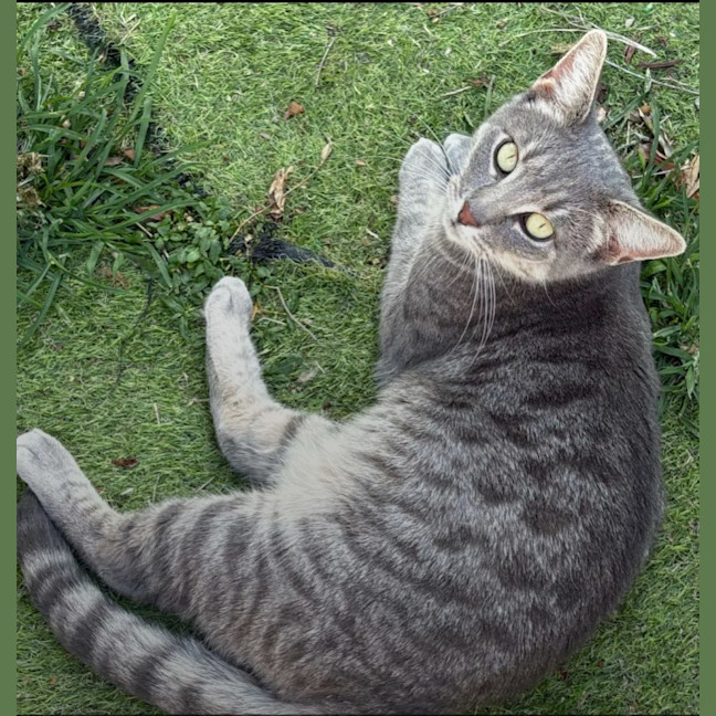 Photo of Portia