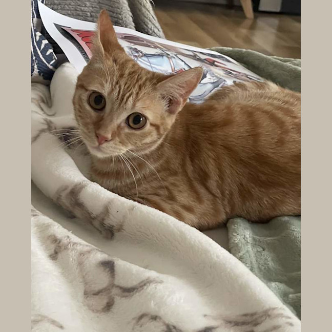 Photo of Lilybett
