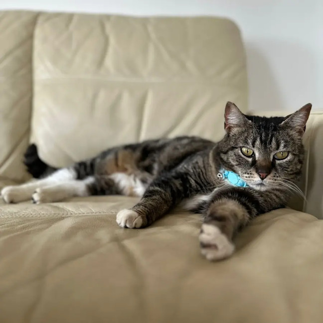 Photo of Boots