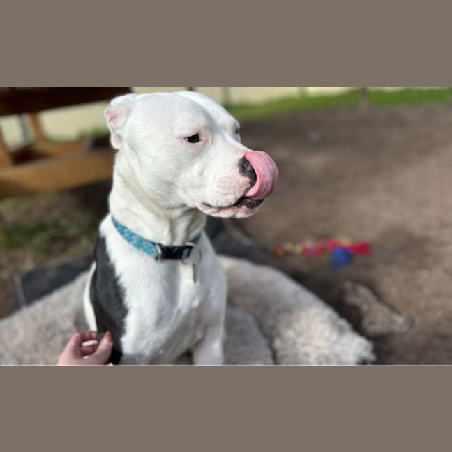 Photo of Sheila