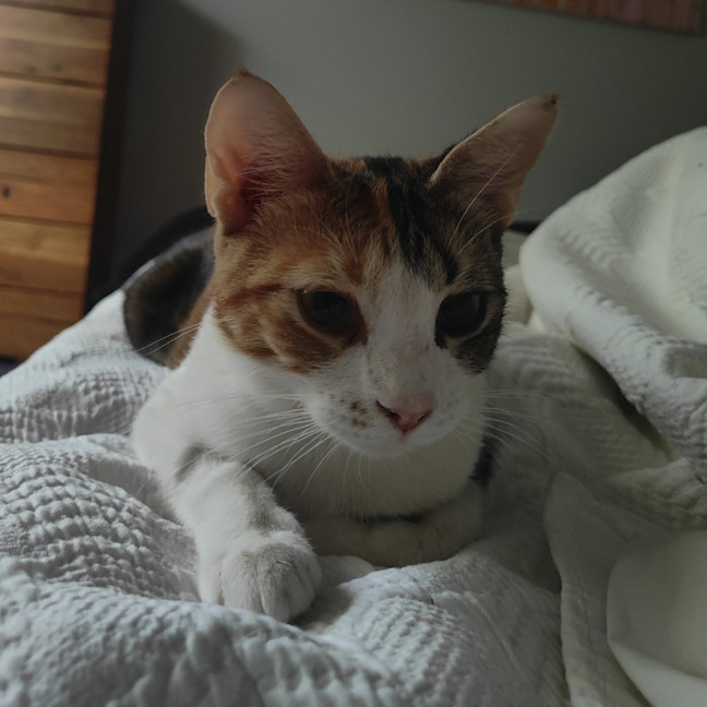 Photo of Tashi