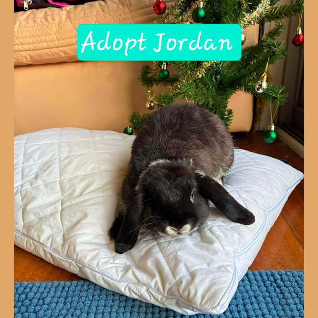 Photo of Jordan