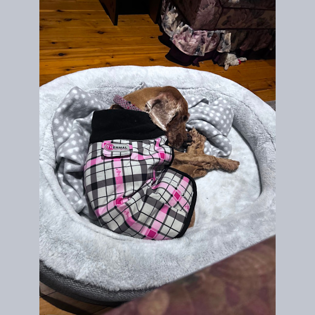 Photo of Maddie