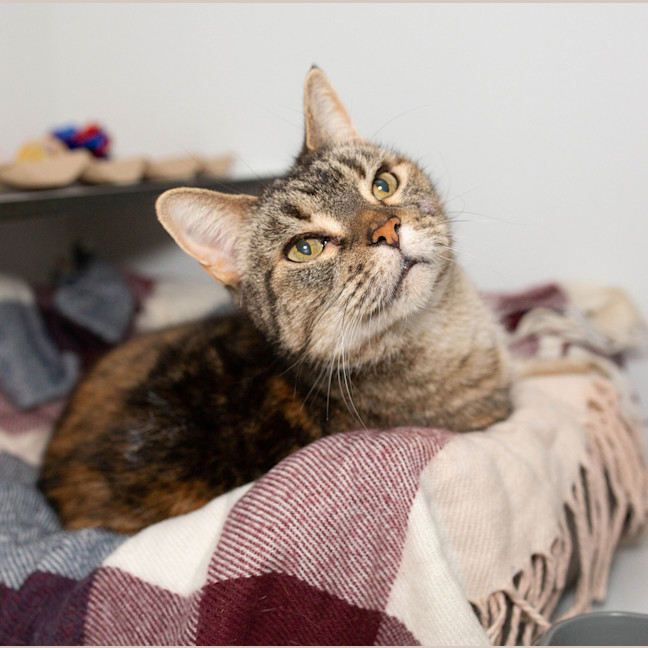 Photo of Bonnie