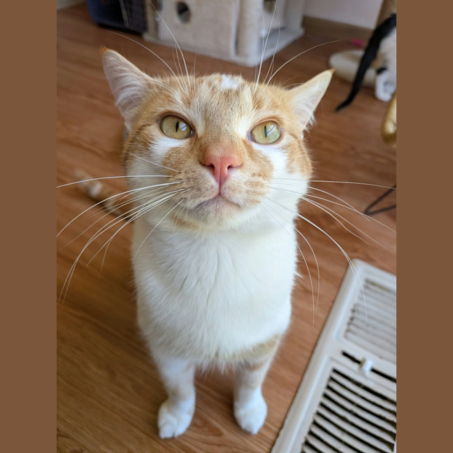 Photo of Miles